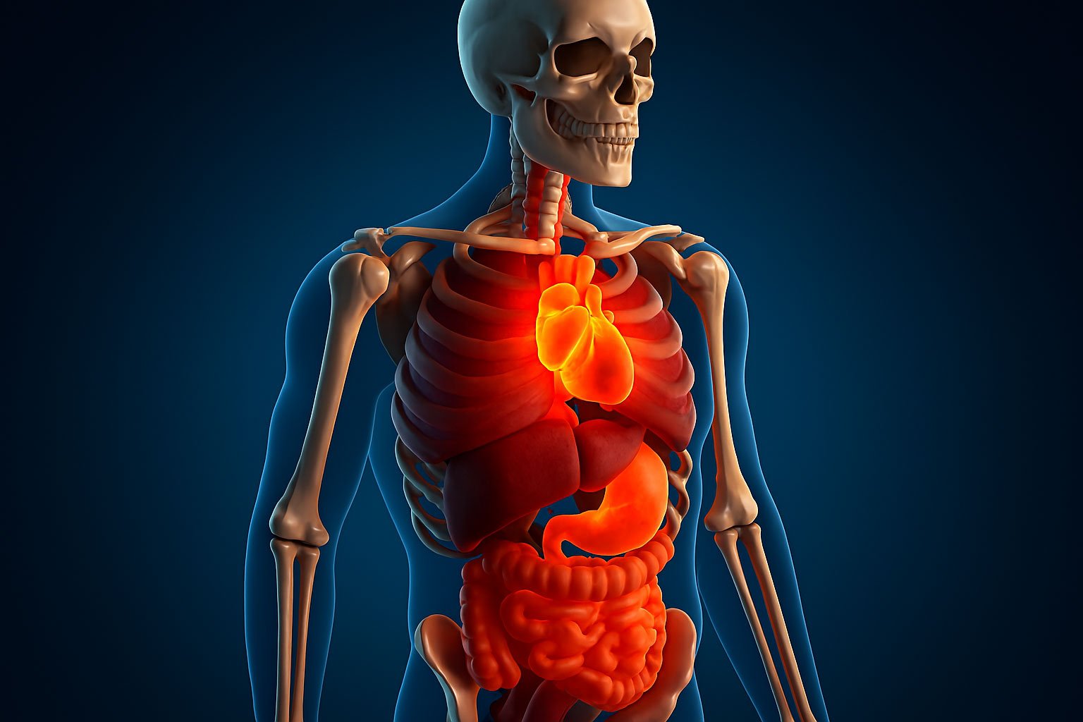 Personne faisant un bilan de santé